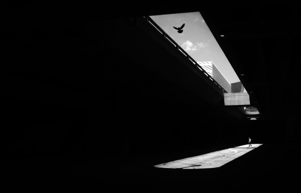 The Jaws of Light by Daniel Sackheim