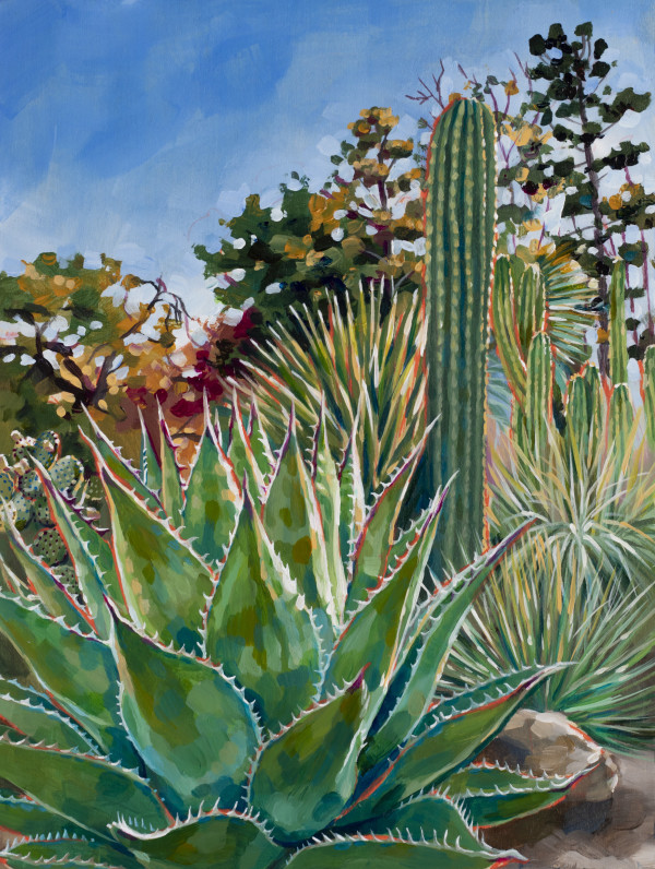 Stanford Cactus Garden by Jackie Liu