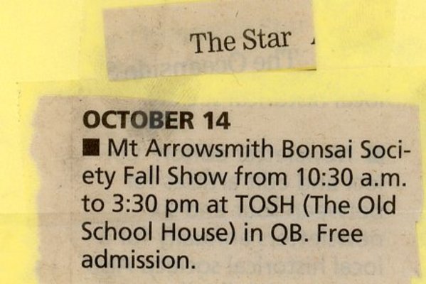 Mt Arrowsmith Bonsai Society Fall Show - 2006
