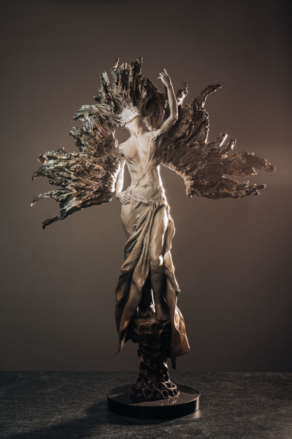 Sunrise by Jonathan Morgan