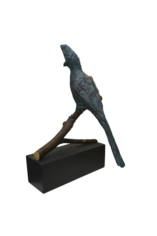 Loerie on Branch in Clay by Emma Halford