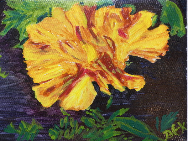 Marigold  by Becky Cook