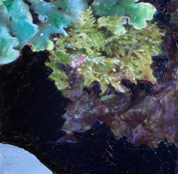 Lichen Fruiting Bodies IV by Mila Rossi