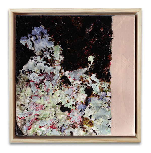 Lichen Love I by Mila Rossi