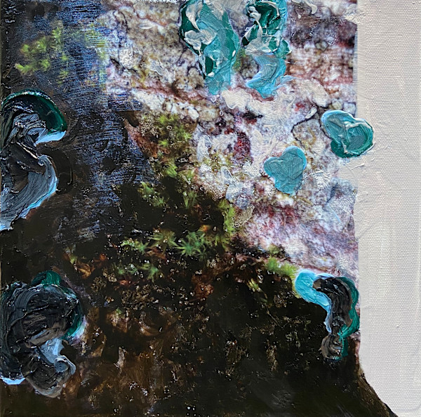 Mossy Tree III by Mila Rossi