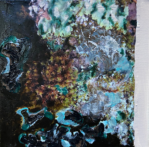 Mossy Tree II by Mila Rossi