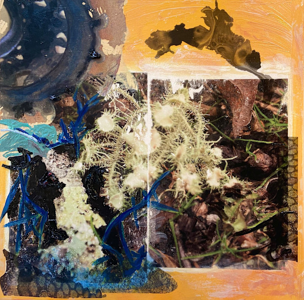 Orange Blue by Mila Rossi