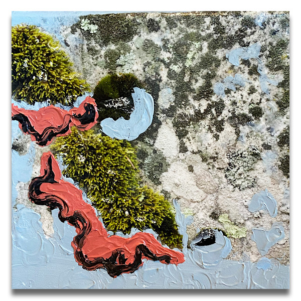 Blue Tangerine III by Mila Rossi