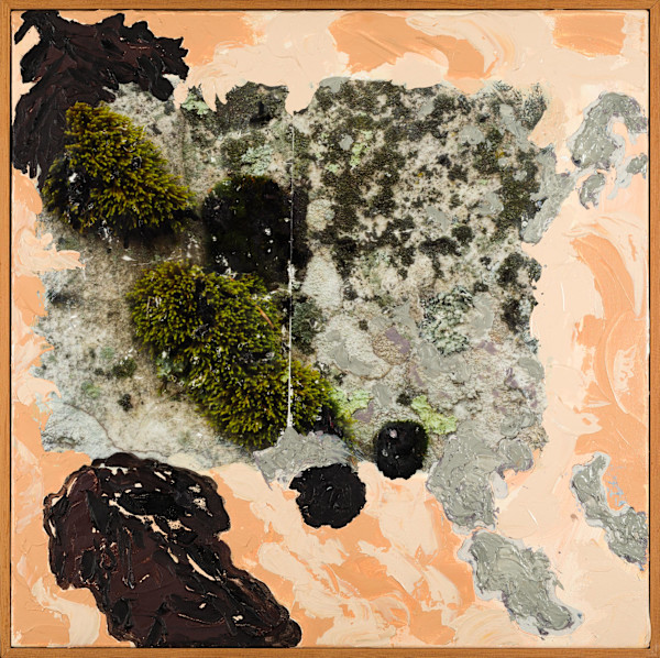 Terracotta Moss II by Mila Rossi, Image 1.