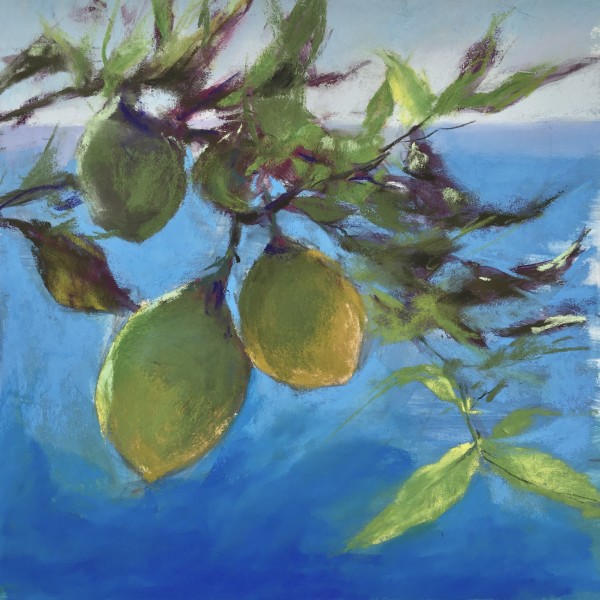Italian Lemons by Jeanne Rosier Smith