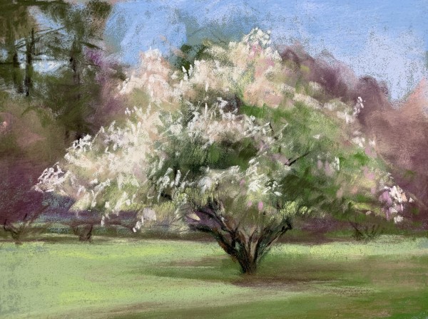 Spring Bloom by Jeanne Rosier Smith