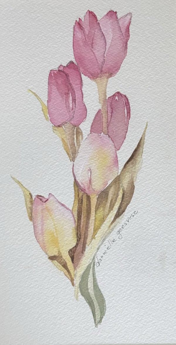 Tulips by Dannielle Genovese
