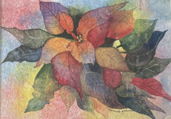 Poinsettia by Dannielle Genovese