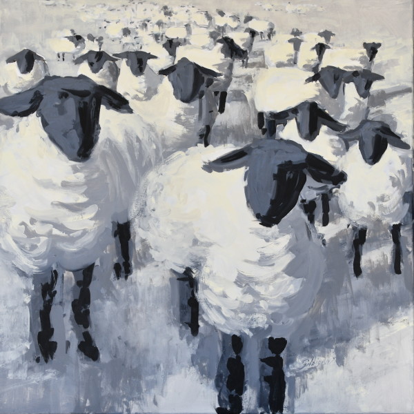 Black and White Sheep by Patricia Silbiger