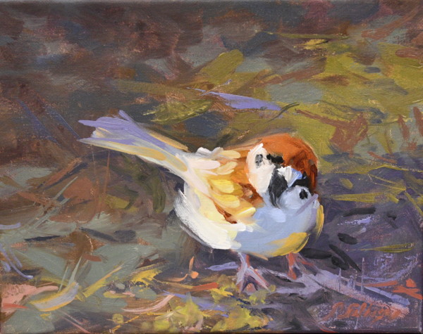 Morning Sparrow 8 by 10 by Patricia Silbiger