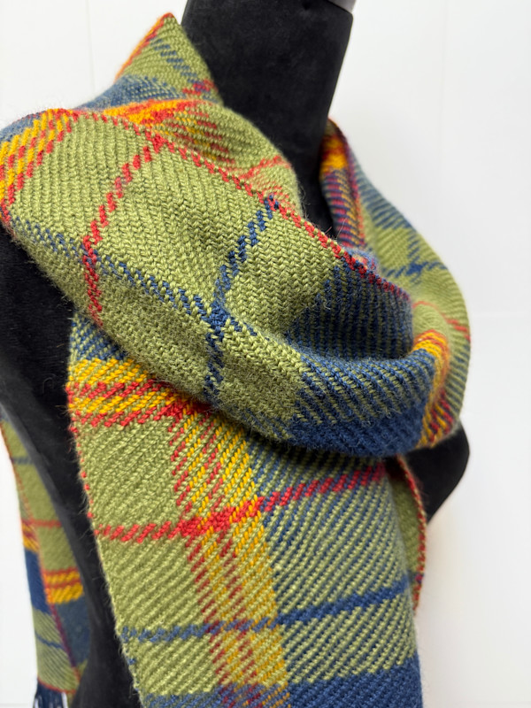 State of New Mexico Tartan Scarf by Jill Hankins