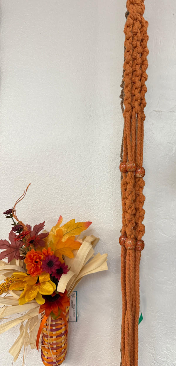 Orange Macramé Plant Hanger by Jill Hankins