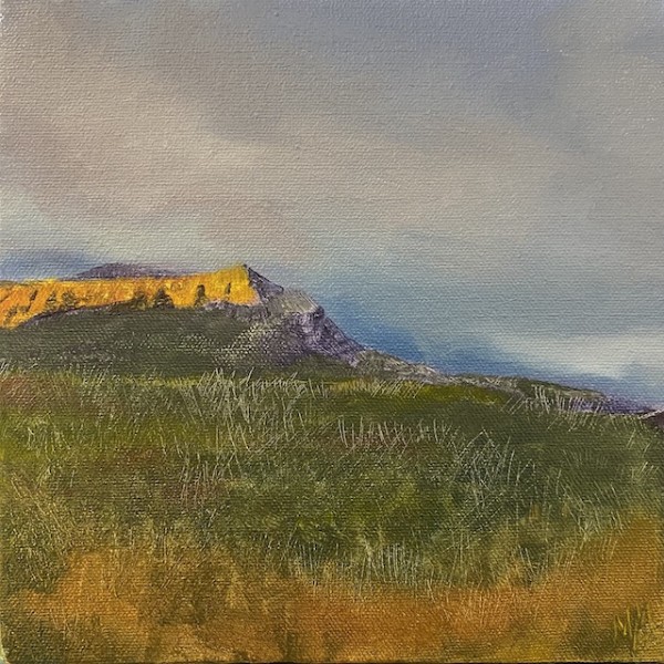 Untitled 1 by Madeleine van Manen