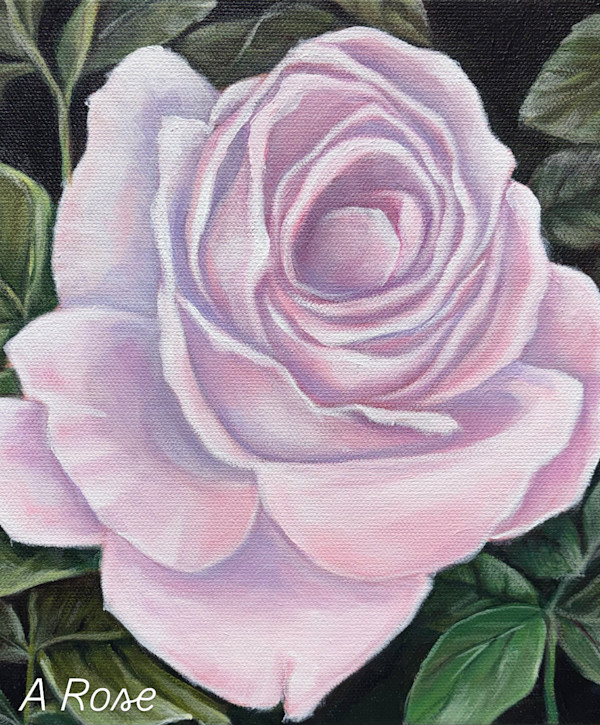 A Rose is a Rose by Frances Hawbaker