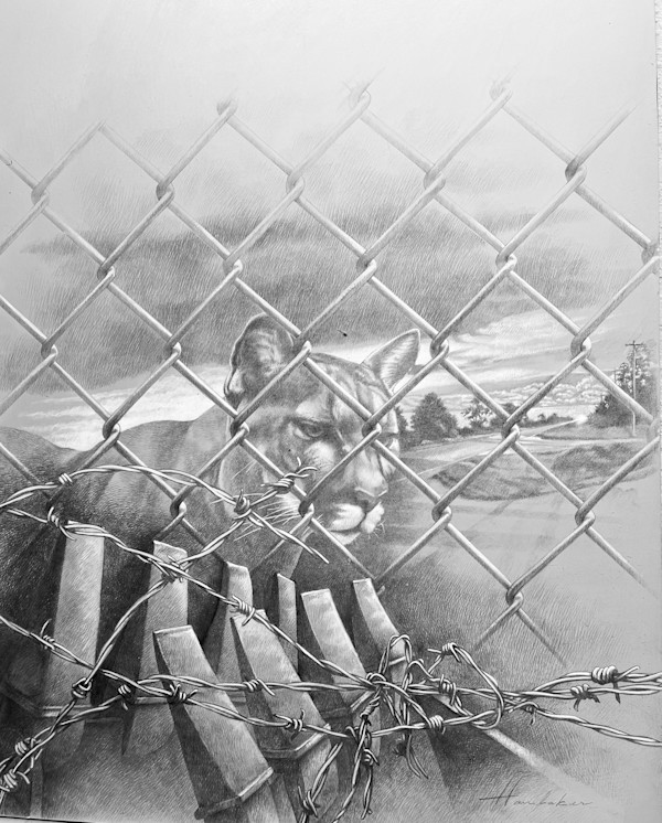 Panthers Crossing by Hawbaker-Fine Art, Image 1.