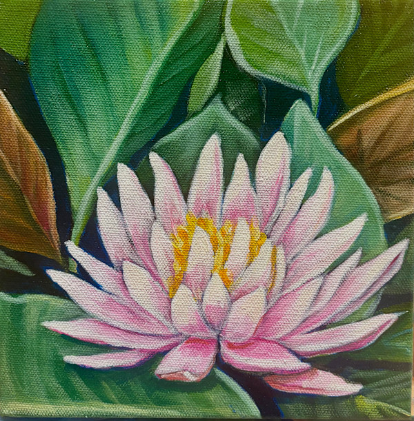 Pink Lily by Frances Hawbaker, Image 1.