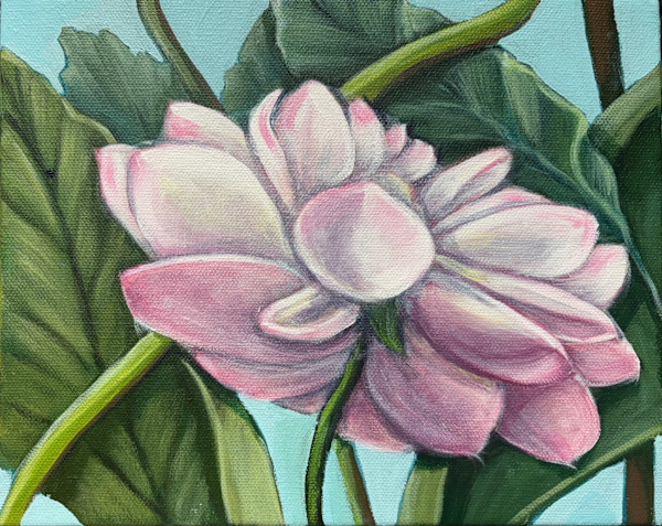 My Lily by Frances Hawbaker