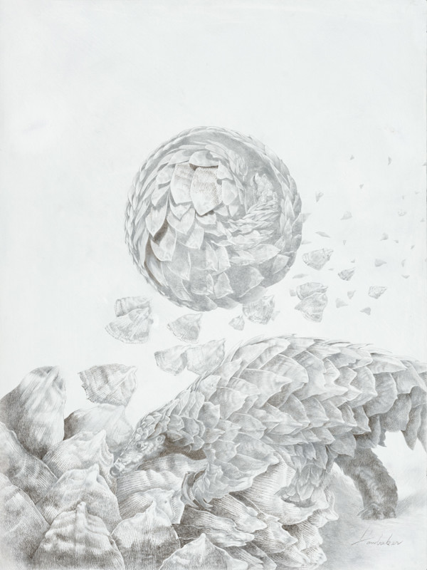 Pangolin in Peril by Hawbaker-Fine Art, Image 1.