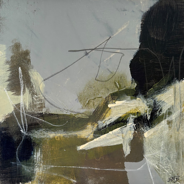 Mapping Flight by Emily Murphy Brown