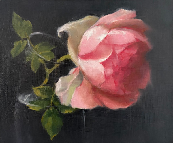Rose by Maria Radun