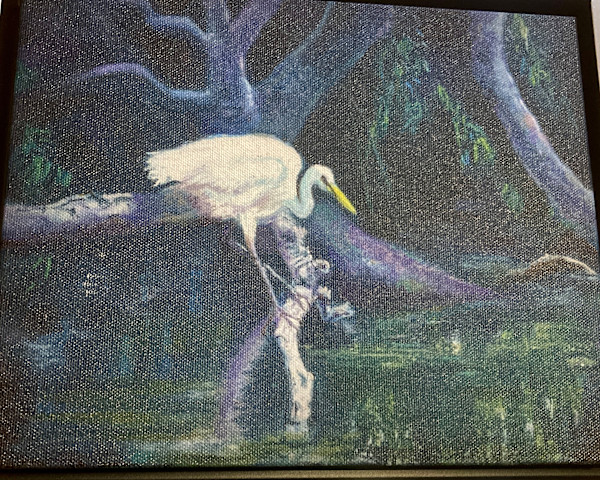 Snowy Egret by Jo Bartruff