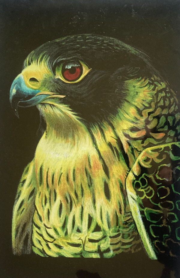 Gene Keys Falcon by Paul J Moorehead