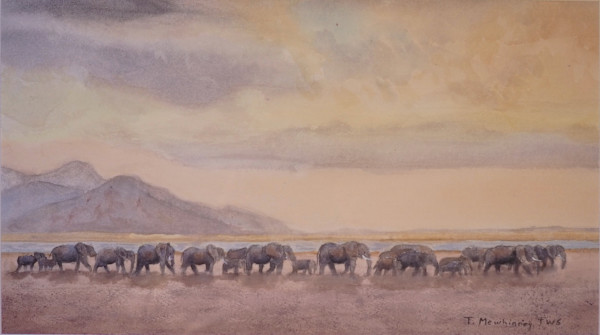 Elephant Walk by Tina Mewhinney, Image 1.