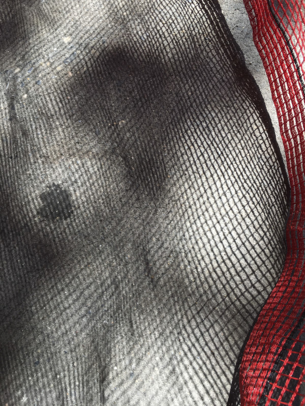 Burlesque by Terry Frishman