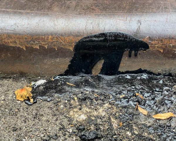 Curbed Plodder by Terry Frishman