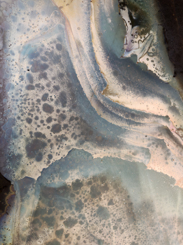 Freud's Fantasy by Terry Frishman