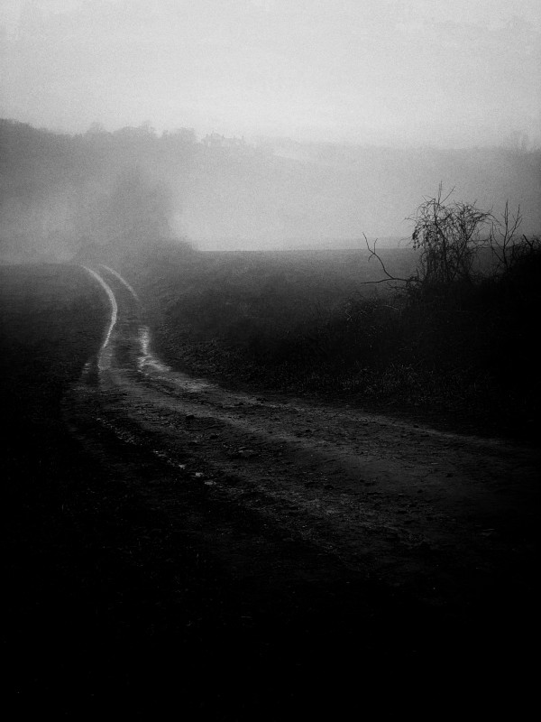 Path with Heart (unframed) by Carlos Alejandro