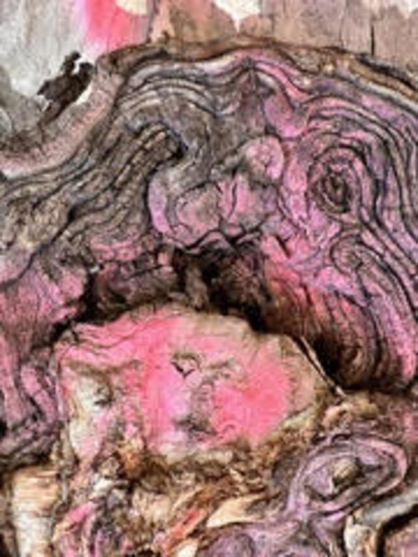 Pink Mood by Terry Frishman