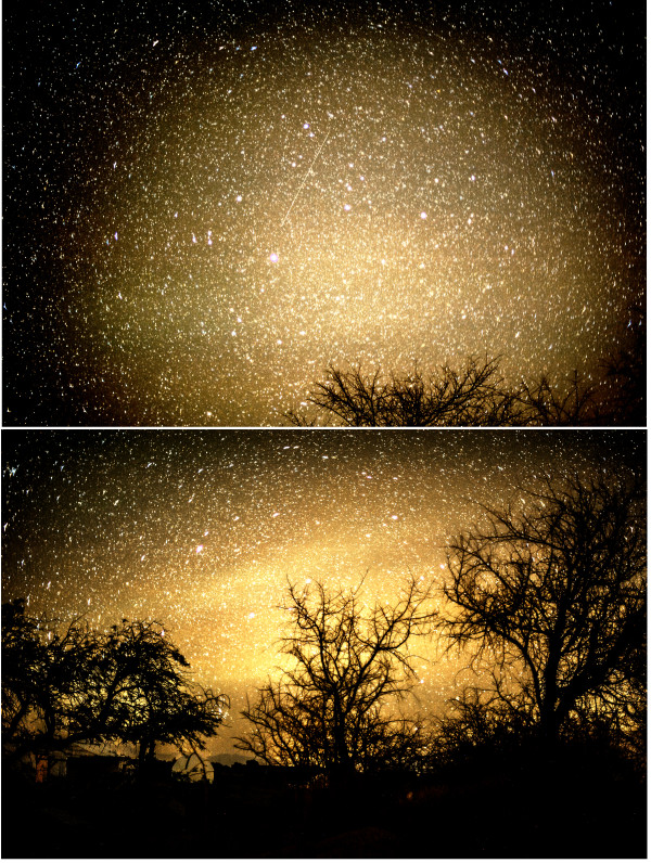 Starry starry yellow by Isidora Gajic