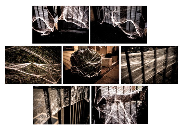 Webs by Isidora Gajic