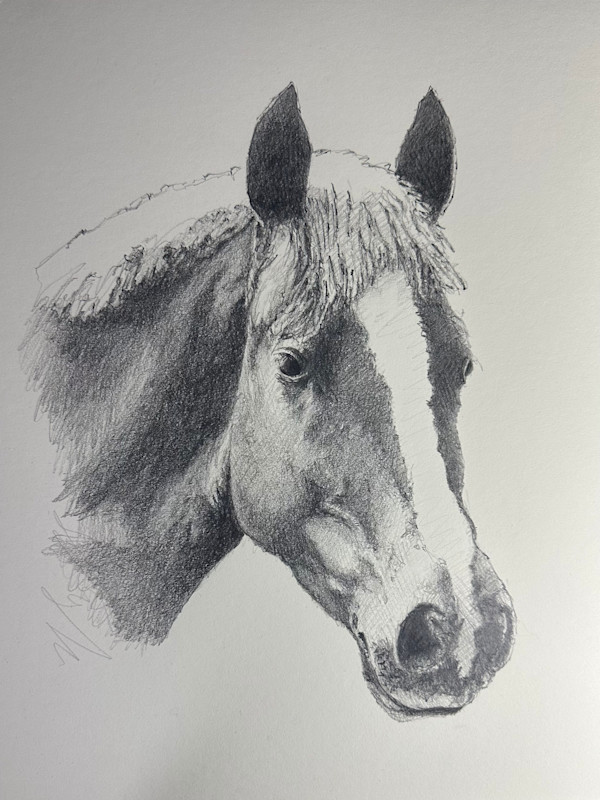 Proud & Strong by J Michael Gatlin