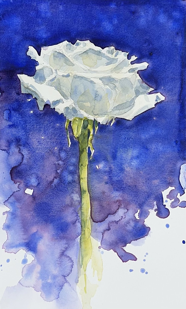 Sense of Wonder by J Michael Gatlin