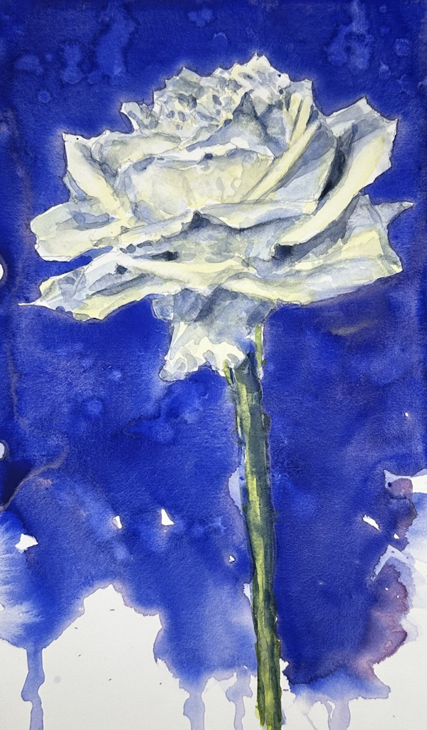 White Rose #3 by J Michael Gatlin