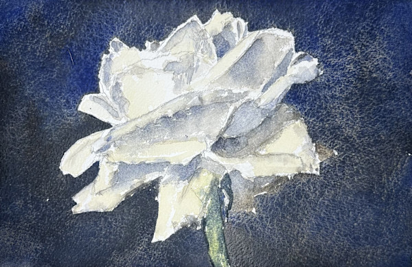 White Rose #4 by J Michael Gatlin