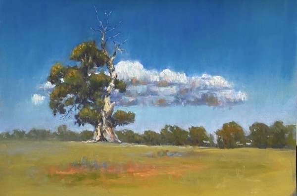 Old remnant at Murdoch Hill Winery by Susan Penfold