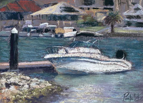 Pleasure cruise by Susan Penfold