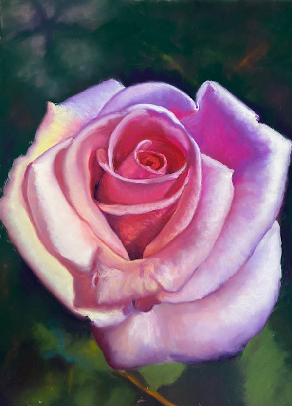 Rose by Susan Penfold