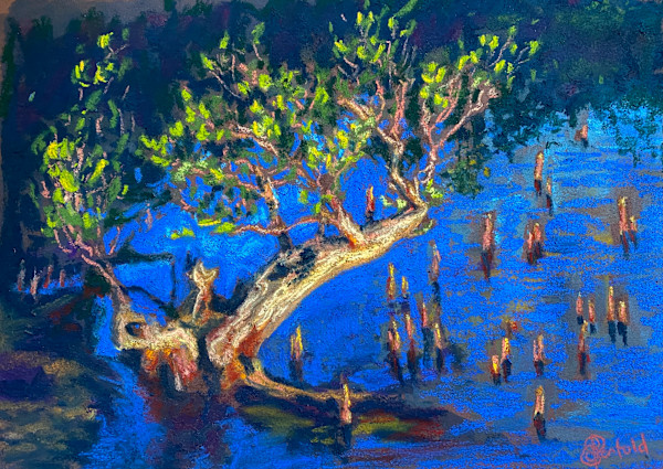 Roots and ripples (Baby Mangroves) by Susan Penfold