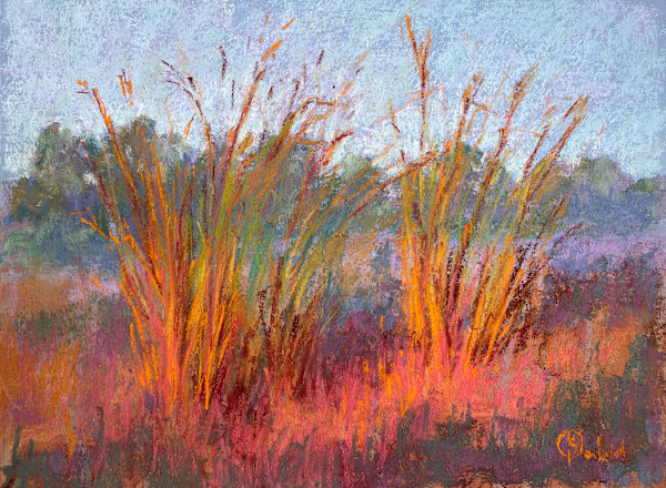 Dry season colours in the long grass by Susan Penfold