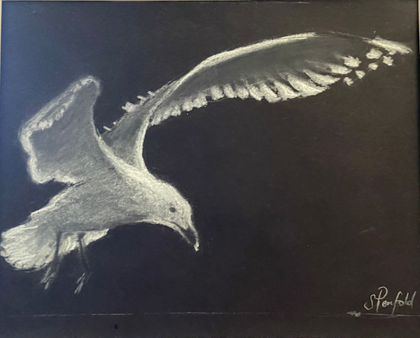 Seagull by Susan Penfold