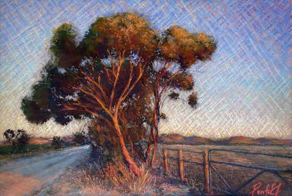 Last light, Tanunda by Susan Penfold